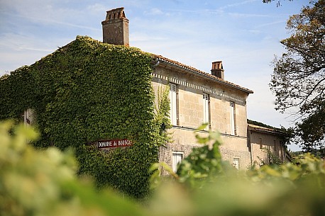 Domaine du BOUSCAT