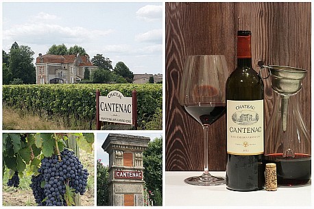 Bordeaux: skv�l� v�no za f�rovou cenu