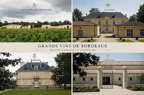 Bordeaux 2025: n�zk� v�nosy, vysok� kvalita