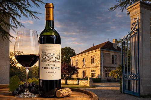 15 / 2026 � NEWSLETTER Z TOPVINO.CZ