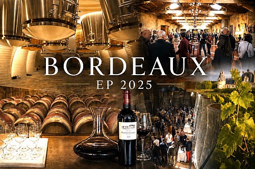 24 / 2026 � NEWSLETTER Z TOPVINO.CZ