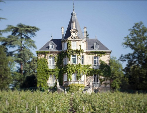 19 / Bordeaux EP 2025 � NEWSLETTER Z TOPVINO.CZ