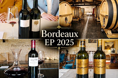 28 / Bordeaux EP 2025 � NEWSLETTER Z TOPVINO.CZ