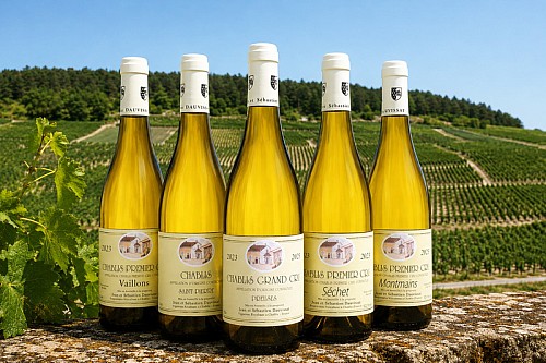 29 / 2026 � NEWSLETTER Z TOPVINO.CZ