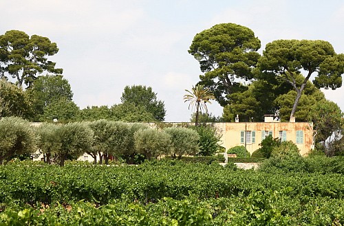 Château PRADEAUX - Bandol