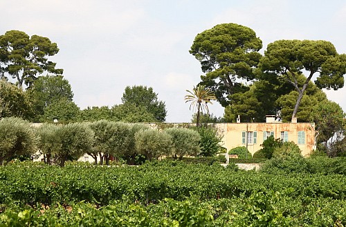 Chteau PRADEAUX - Bandol