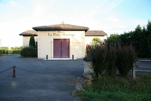 Château LA FLEUR MORANGE 2010 (St.-Emilion Grand Cru)